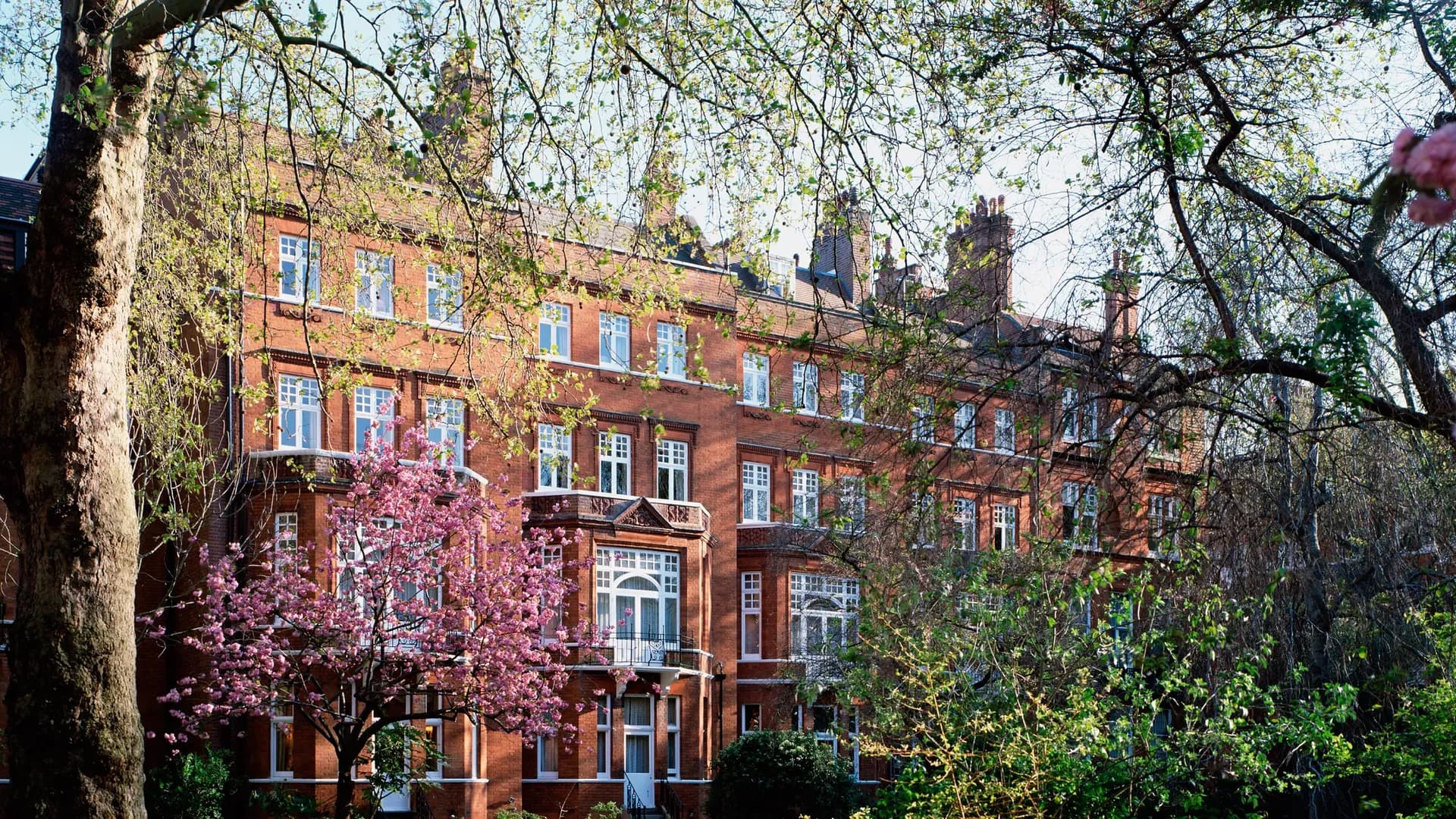 chelsea-garden